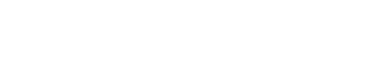 Pridolf Group Logo